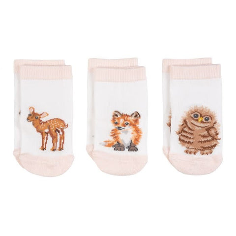 Little Forest Boxed Set of 3 Bamboo Kids Crew Socks (0-6 Months, 6-12 Months)